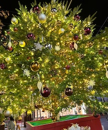 自由が丘のツリー🎄✨ | 💛💚のツリー🎄✨をイメージしました✨(その他)