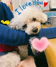 ばあば大好き💗 | ペットウェア