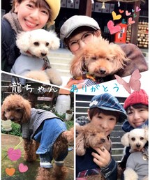 龍ちゃんのご冥福をお祈りします✨ | 龍ちゃん、たくさんの思い出をありがとう💗大好きだよ💗(ペットウェア)