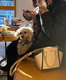 チャコ、カフェのお客さんのお膝を借りる💗 | チャコの撮影会中のかわい子ちゃんたち💗(食器)