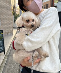 店員さんが追いかけて来てくれて抱っこしてくれたよ💗 | お店が忙しそうだから帰ったのですが、私を見てくれてた店員さんが走って来てくれました✨チャコも半べそだったのに嬉しそう💗(ペットウェア)