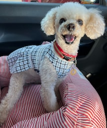 チャコも💙🤍 | ペットウェア