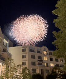 偶然見れたディズニーの花火🎆 | アウトドア/スポーツ
