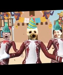 タッキーからBDダンスのプレゼント💗 | キレキレダンスに爆笑したよ🌸ありがと🌸(ペット用おもちゃ)