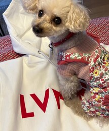 レバニラパーカー | ママは学ばないよねぇ〜(パーカー)