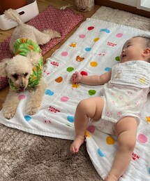 チャコ、赤ちゃんが来て大興奮💗💗💗 | その他