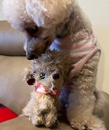 すっかりなかよし💗 | 振り向いてこっちを見てくれる表情がそっくり✨(ペット用おもちゃ)