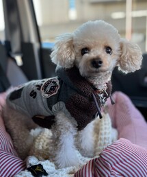 チャコはスヌーピーの宇宙服だよ🚀 | ペットウェア