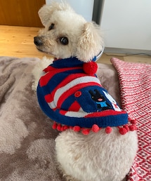 チャコもお泊まりするんだーい💗 | ペットウェア