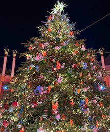 今年もイルミネーションツアー🎄 | その他