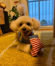 わーい🌸取ったどー💗 | ペットウェア