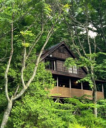 一房の葡萄🍇というカフェ☕️ | 食器/キッチン