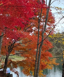 五色沼🍁 | 沼の色が日によって変わる五色沼。2日連続で撮影したよ📸(アウトドアグッズ)