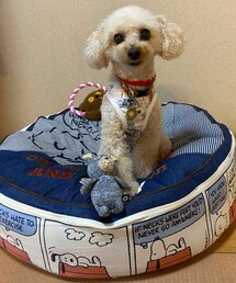 チャコは大好きなスヌーピーだよ💗 | パパにベッドを買ってもらったよ💗(ペット用クッション/マット)