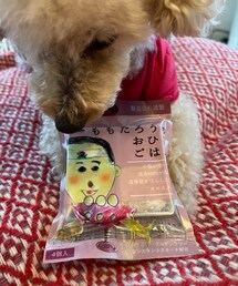 お客様の岡山土産🍑 | きびだんご、チャコも食べたい💗(その他)