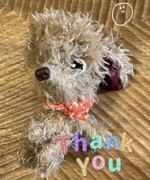 タッキーが作ってくれたチャコ💗 | 毛の色、鼻の色までそっくり‼️かわいいー🧡(ペット用おもちゃ)