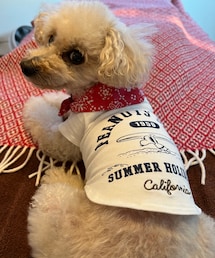 チャコもお揃いのスヌーピー💗 | ペットウェア