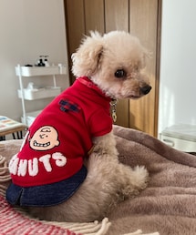 拗ねてるチャコ❤️ | チャコはここから一歩もどかないんだからっ‼️(ペットウェア)