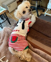 スヌーピーのお顔見える⁉️ | ペットウェア