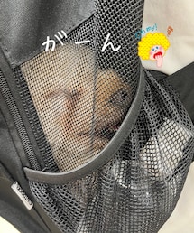 リュックに詰められ白目なチャコ🌸 | ペットウェア