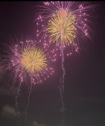 2輪の花火が可愛かった🌸🌸 | 絶えず2輪一緒に打ち上がる花火がシンプルに綺麗でした🌸🌸(その他)