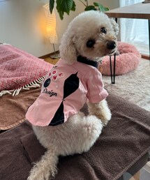 チャコちゃん🌸 | あ〜あ、チャコも能登Tリンクに混ぜて欲しかったなぁ(シャツ/ブラウス)