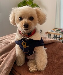 チャコの定位置💗 | ペットウェア