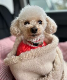 寒がりチャコ🌸 | ペットウェア