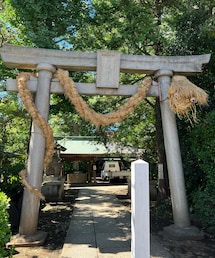 大蛇祭りの大蛇様🐍✨ | 土曜日、この大蛇がねり歩く🐍✨(その他)