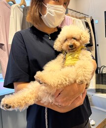 チャコは雑貨屋さんに抱っこしてもらったよ🌼 | ペットウェア