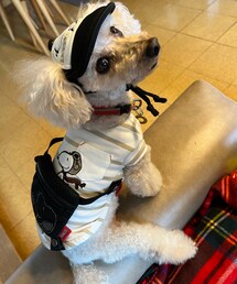 チャコもお帽子とバッグ持ったよ💗 | ペットウェア