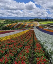 お花畑🌸🌸 | フレグランス