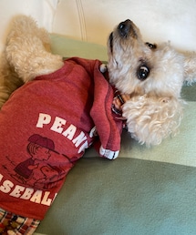 チャコはスヌーピーのパーカーだよ💗 | ペットウェア