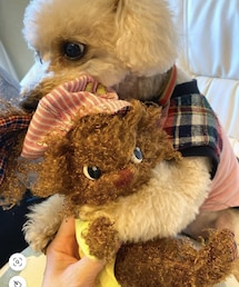 タッキーが産んだブラウンくん✨ | フィギュア