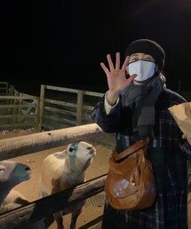 ひつじ達のヨダレで手がえらいことに。。 | その他