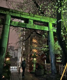 亀岡八幡宮の桜🌸 | 鶴岡八幡宮は知ってたけど、亀岡もあるんですね！(アウトドア/スポーツ)