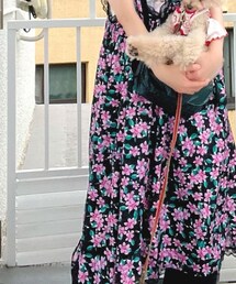 SHEEN | ワンピース