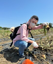 今年も玉ねぎ狩りしてきたよ🧅✨ | 一心不乱にタマネギを収穫する旦那🤣(アウトドア/スポーツ)