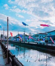 鯉のぼりも見てきたよ🎏✨ | みんなで見たよ🥰🧒🐶🥰(フレグランス)