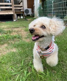 楽しいチャコ♫ | その他