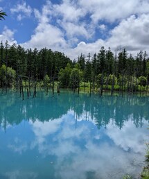 必殺！写り込み✨ | アウトドア/スポーツ