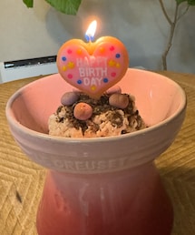 チャコの手作りお誕生日ケーキ🎂作ったよ❤️ | 4/20お誕生日でした🎂いつまでも元気でたくさん一緒にいようね💗(ペットグッズ)