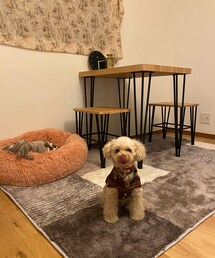 パパありがとー💗 | 後ろには、カーテンがわりになってる私のストール💦(家具)