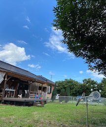 風が吹き抜けるカフェ | ペットグッズ