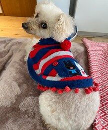 チャコ、待ってるよ💗 | ペットウェア