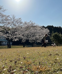 チャコとママ🌸 | おいで〜💗(アウトドア/スポーツ)