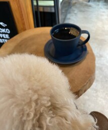 チャコのどたま | 動物の後ろ頭って可愛いとまゆちゃん💗(ペットウェア)