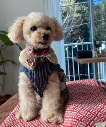 やっと極楽へ💗 | あったかいのサイコー💗(ペットウェア)