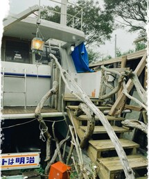 船の部分、実は中はおトイレ🚻 | その他