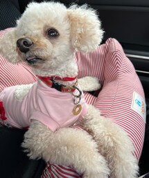 チャコペロ👅 | ペットウェア